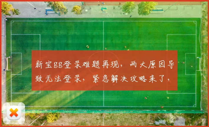 新宝gg登录难题再现，两大原因导致无法登录，紧急解决攻略来了，速来围观