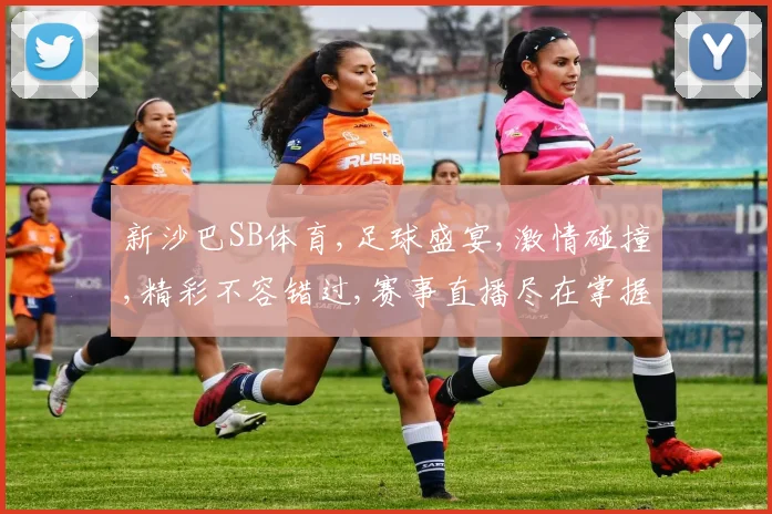 新沙巴SB体育,足球盛宴,激情碰撞,精彩不容错过,赛事直播尽在掌握